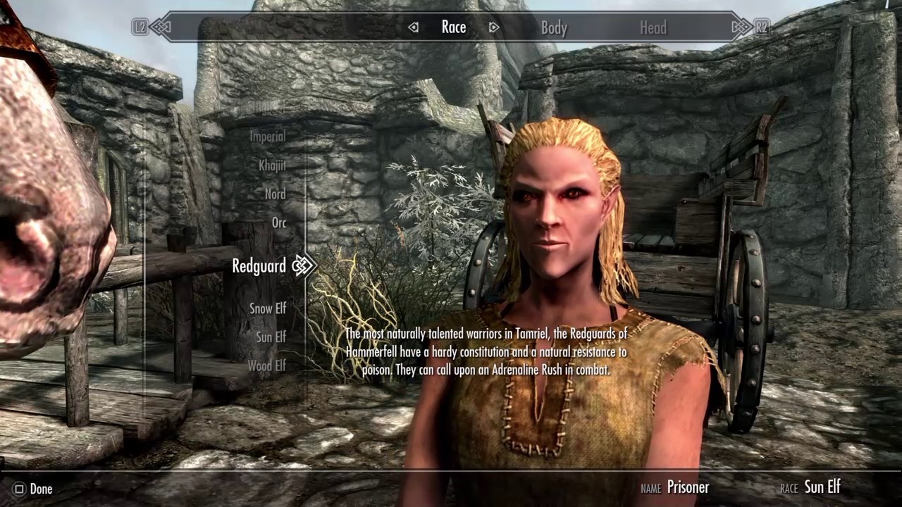 Skyrim Character Mods Ps4 Completesystem